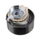 FEBI BILSTEIN 49559 Spannrolle für PEUGEOT, OPEL, JEEP, CITROËN, DS, TOYOTA