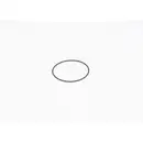 BOSCH F 01M 100 371 Dichtring
