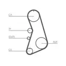 CONTINENTAL CTAM CT919K4 Zahnriemen Kit