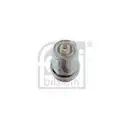 FEBI BILSTEIN 13424 Zündkerze für RENAULT, PEUGEOT, CITROËN, NISSAN, VW, SUZUKI