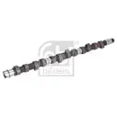 FEBI BILSTEIN 05519 Nockenwelle für VOLVO, VW