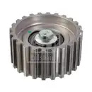 FEBI BILSTEIN 30980 Umlenkrolle für IVECO, FIAT