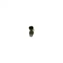 BOSCH 0 261 500 494 Einspritzventil