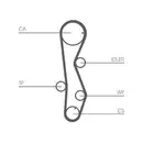 CONTINENTAL CTAM CT1099WP1 Zahnriemen Kit + Wasserpumpe