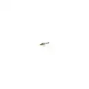 Zündkerze Bosch 0 242 240 649 Double Platinum für Daihatsu für Ford für Honda