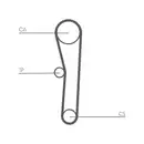 CONTINENTAL CTAM CT1008K1 Zahnriemen Kit