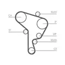 CONTINENTAL CTAM CT1044 Zahnriemen