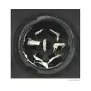 HERTH+BUSS ELPARTS 83830161 Heckleuchte L