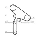CONTINENTAL CTAM CT921 Zahnriemen