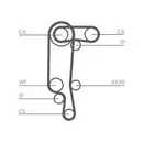CONTINENTAL CTAM CT957(SET) Zahnriemen