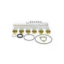 Dichtungssatz Einspritzpumpe Bosch 2 417 010 010 für Daf für Iveco für Mack