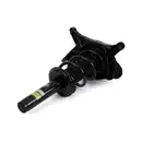 ArnottEurope SK-3842 Coil Spring Strut
