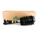 ArnottEurope Air Spring Strut AS-3896