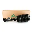 ArnottEurope Air Spring Strut AS-3897