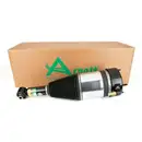 ArnottEurope Air Spring Strut AS-3801
