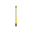 SWF 119451 SWF Das Original Front FBOE (x2) SF451