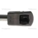 Gasfeder Koffer /laderaum Triscan 8710 292080 für Skoda Hinten Links