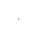 BOSCH 1 987 302 501 Glühlampe P21W 21W 24V