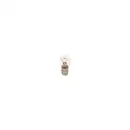 Glühlampe Blinkleuchte Bosch 1 987 302 524 Trucklight Ws für Daf für Ford