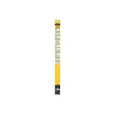 SWF 119447 SWF Das Original Front FBOE (x2) SF447