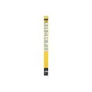 SWF 119454 SWF Das Original Front FBOE (x2) SF454