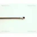 Gasfeder Koffer /laderaum Triscan 8710 25211 für Renault