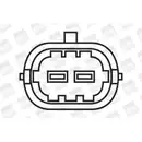 BorgWarner (BERU) ZS309 Zündspule
