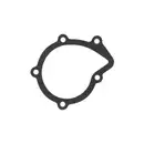 SKF VKPC 83421 Wasserpumpe