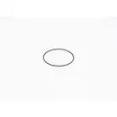 BOSCH F 01M 100 371 Dichtring