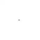 BOSCH 1 928 300 887 Gummiring