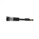 ArnottEurope AS-2822 Air Spring Strut