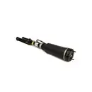 ArnottEurope AS-2833 Air Spring Strut