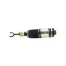 ArnottEurope AS-3230 Air Spring Strut