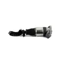 ArnottEurope Air Spring Strut AS-3165
