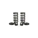 ArnottEurope C-3080 Suspension Kit, coil springs