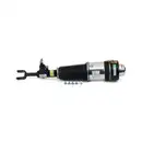 ArnottEurope AS-3369 Air Spring Strut
