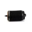 ArnottEurope Air Spring, suspension A-3891