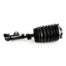 ArnottEurope Air Spring Strut AS-3897