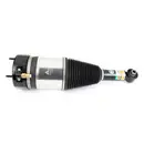 ArnottEurope Air Spring Strut AS-3800