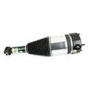 ArnottEurope Air Spring Strut AS-3801