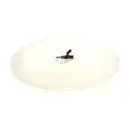 BOSCH 0 280 158 336 Einspritzventil