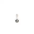 BOSCH 1 987 302 520 Glühlampe 5W 24V SV8,5-8
