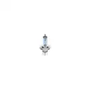 BOSCH 1 987 302 045 Glühlampe H4 60/55W 12V